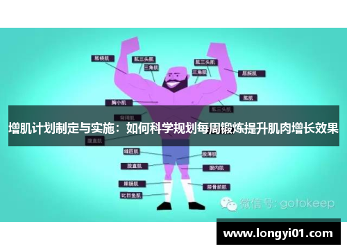 增肌计划制定与实施：如何科学规划每周锻炼提升肌肉增长效果