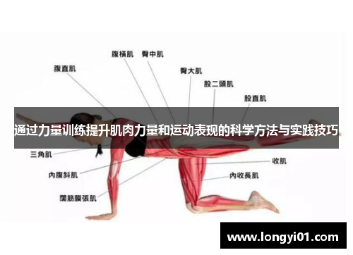 通过力量训练提升肌肉力量和运动表现的科学方法与实践技巧