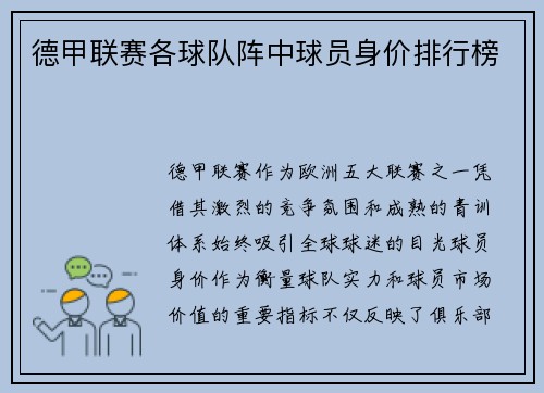 德甲联赛各球队阵中球员身价排行榜